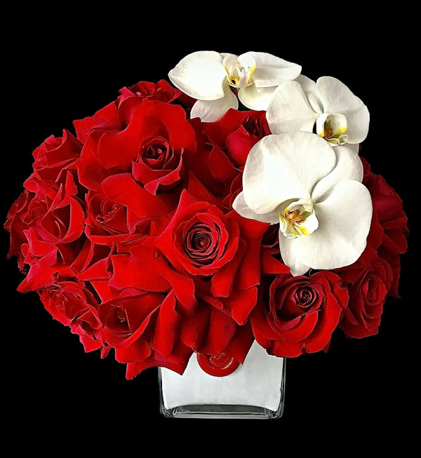 Sleek Red Roses